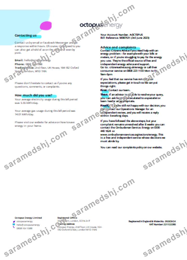 Octopus Energy utility business bill SCR page 3